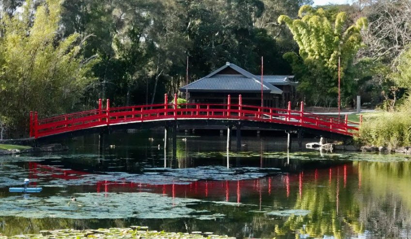 North Coast Regional Botanic Garden - Coffs Harbour, Coffs Harbour, New South Wales, Australia, Australia